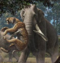 Animal battle (extinct land animals)